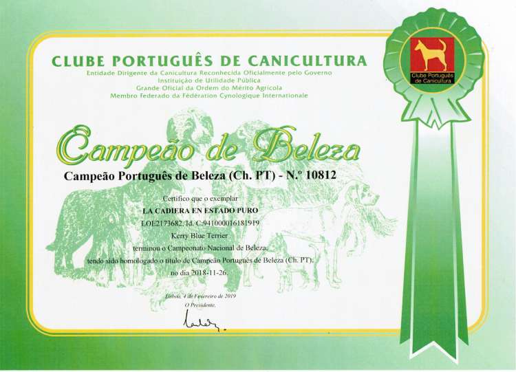 Ch. La Cadiera En Estado Puro. Titulo de Campeón de Belleza de Portugal.