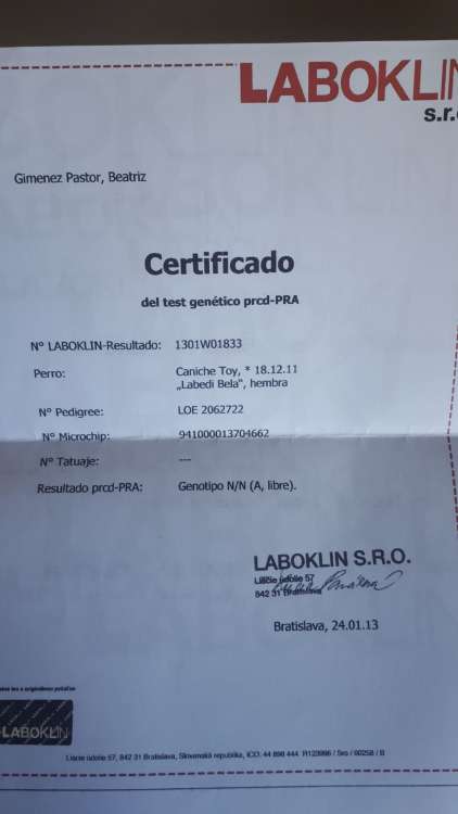 Camada 3L. Delabea El Vinilo Contraataca.