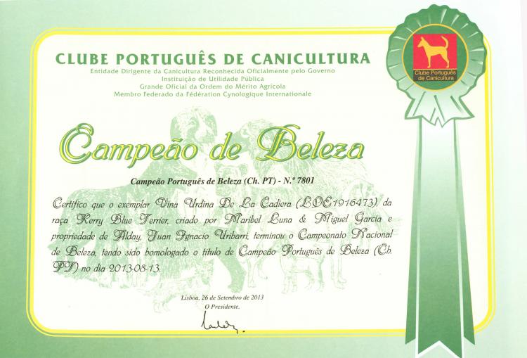 Kerry Blue Terrier. Portugal Ch. Viña Urdina de La Cadiera.