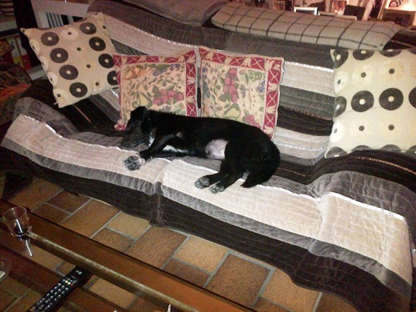 Nuestra vida ahora !!!. 