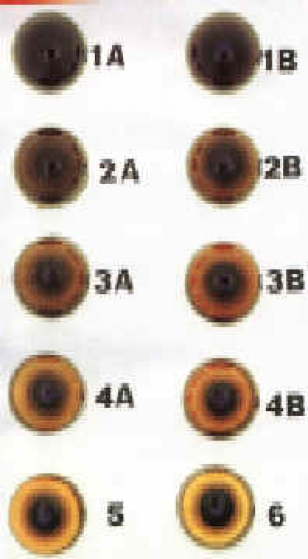 morfo ojos morfo ojos