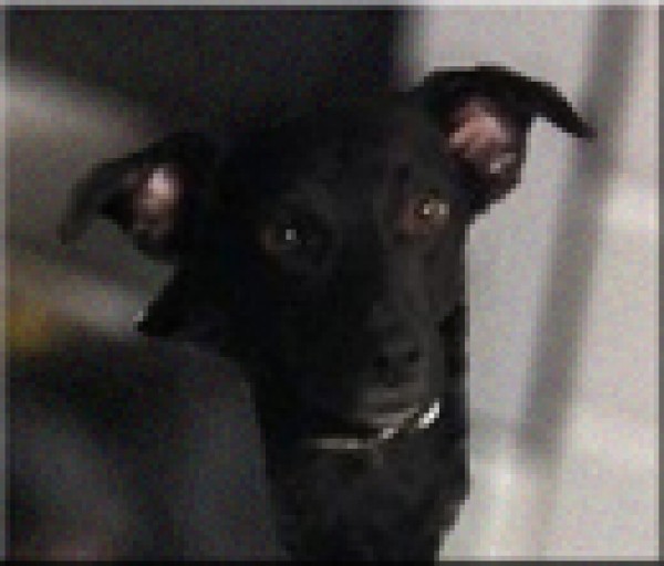  Sin determinar. Bimba. Bimba