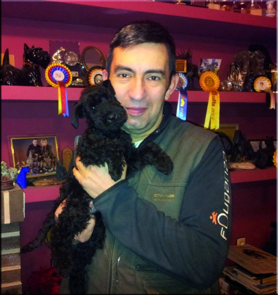 Kerry Blue Terrier. Miguel con Zippo