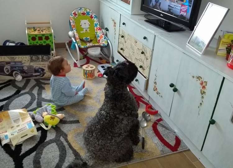 Ch. La Cadiera Felicity. Feli y Hugo viendo la tele