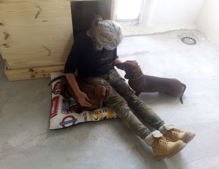 Menta y Musgo con Maribel en su parque de la Residencia Canina La Cadiera en Avila