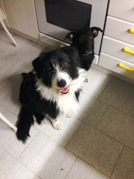 Historia de Pepa & Bimba. Somos Pepa y Bimba