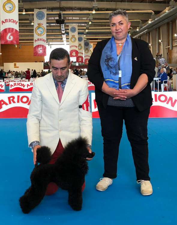 Ch. Zabavny Kolokolchik Gorletti. Exc. 1ª C.A.C. R.C.A.C..B..