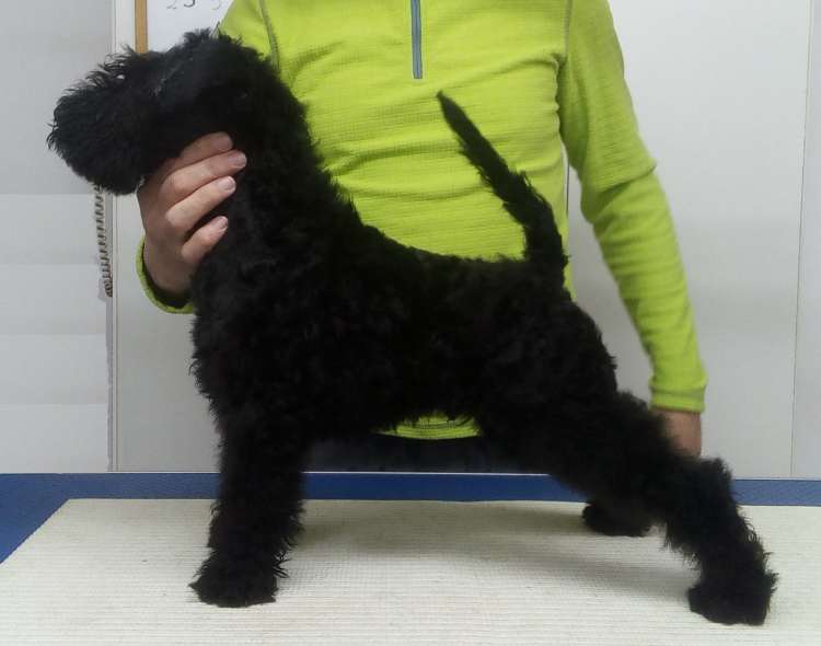 Camada 3K. La Cadiera Kazán. 2 meses.