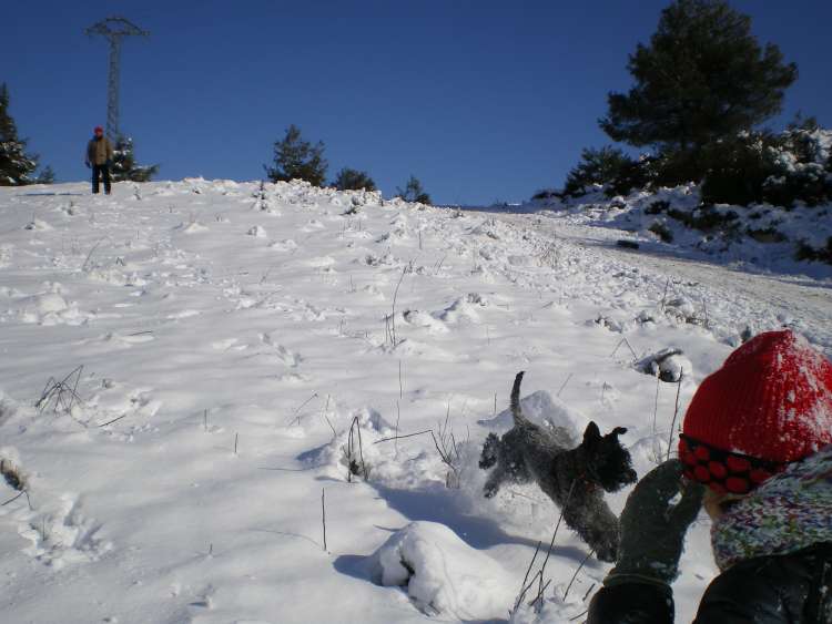 Sirena Azul De La Cadiera.