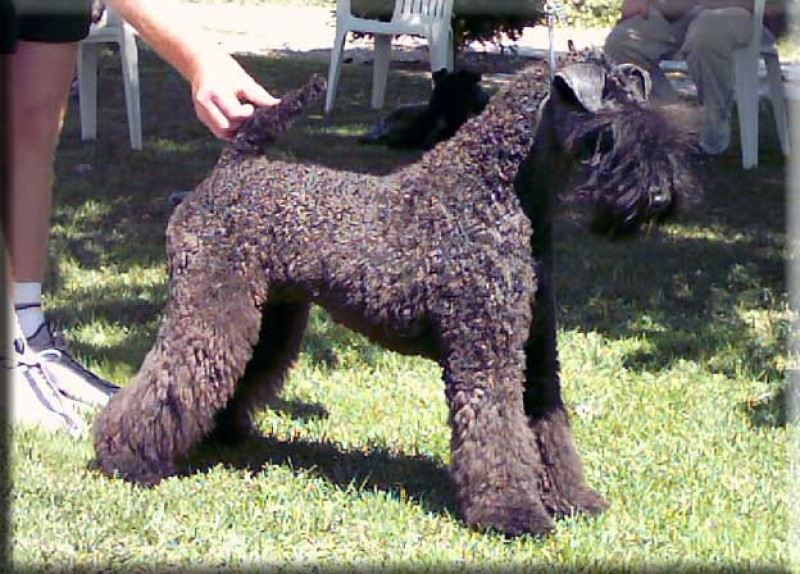 Balada de La Cadiera