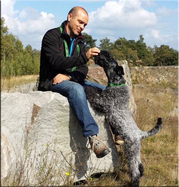 Cyrano de La Cadiera. Kerry Blue Terrier. Cyrano con Paco.