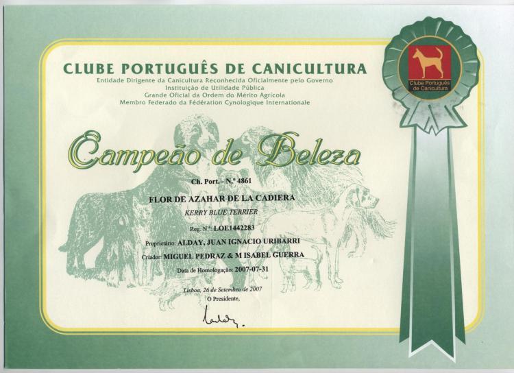 Kerry Blue Terrier.  Portugal Ch. Flor de Azahar de La Cadiera.