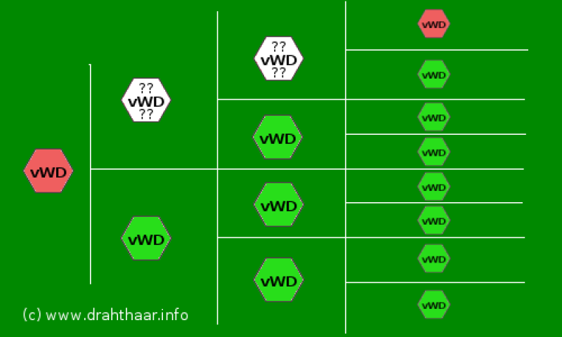 Kerry Blue Terrier. Grafico4 VWD