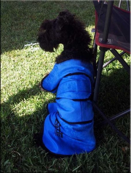 La Motoreta con el abrigo de hielo