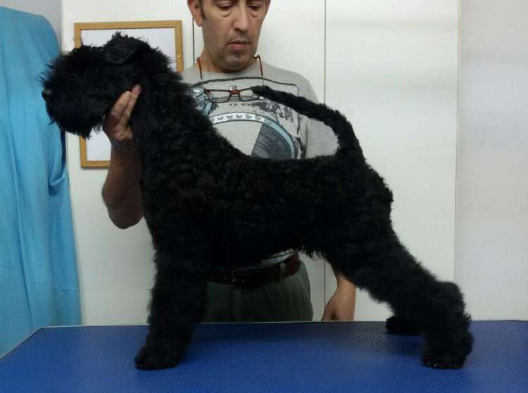 La Cadiera Made In Heaven. 4 meses 4 months. La Cadiera Made In Heaven. 4 meses 4 months.