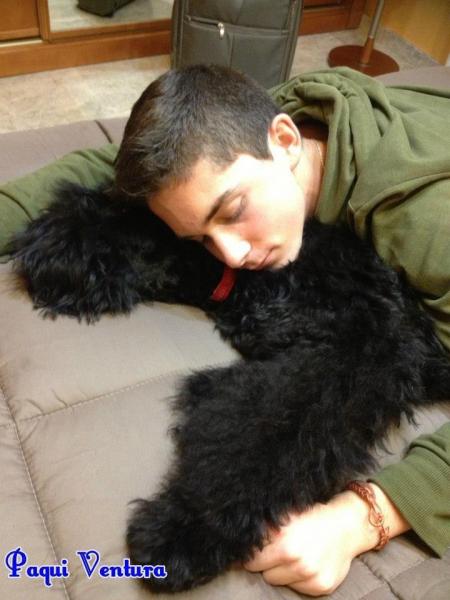 Kerry Blue Terrier. Hugo con su amito.