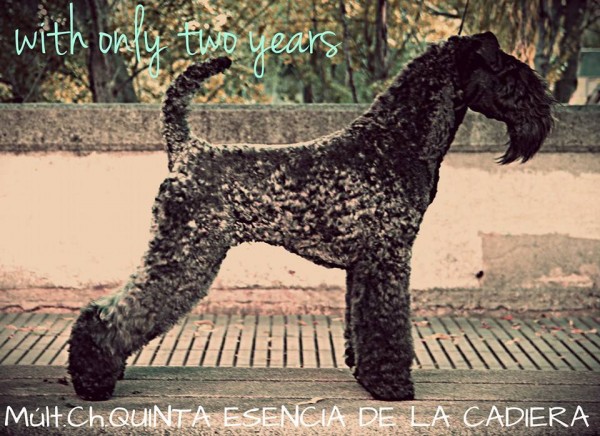 Historia de Super Menta. Aquí con 2 añitos !