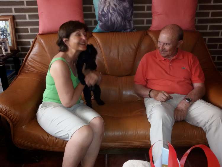 Kerry Blue Terrier. Harmony con sus amitos.