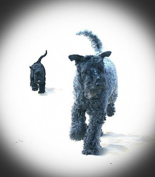 Lo mejor del invierno.