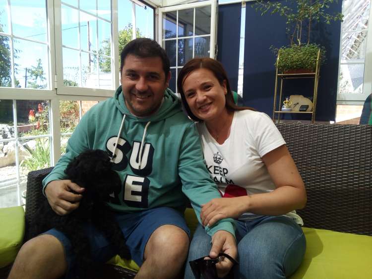 Kerry Blue Terrier. Hattori Hanzo con sus amitos.