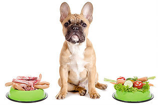 Nutrici贸n Nutrici贸n