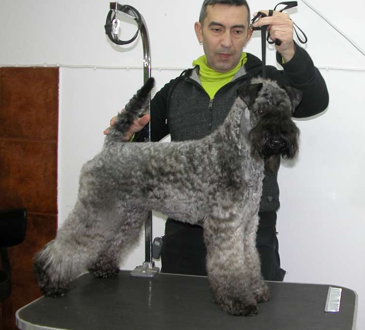 La Cadiera Karen con casi 13 meses.