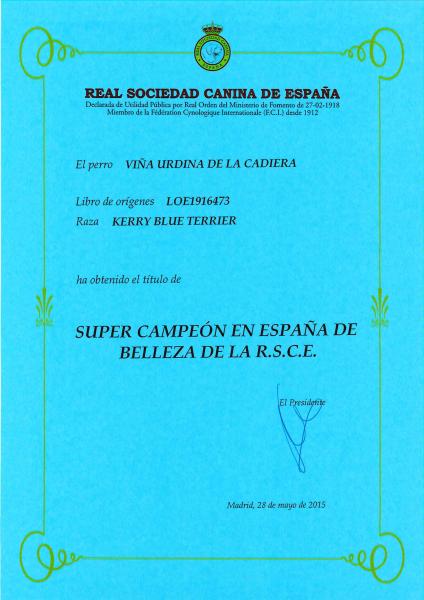 Kerry Blue Terrier. Super Ch. Viña Urdina de La Cadiera.