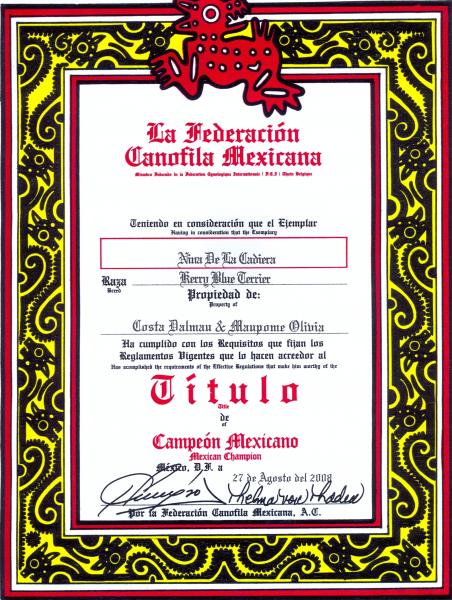 Kerry Blue Terrier.  Mexico Ch. Nina de La Cadiera at Barba Azul.