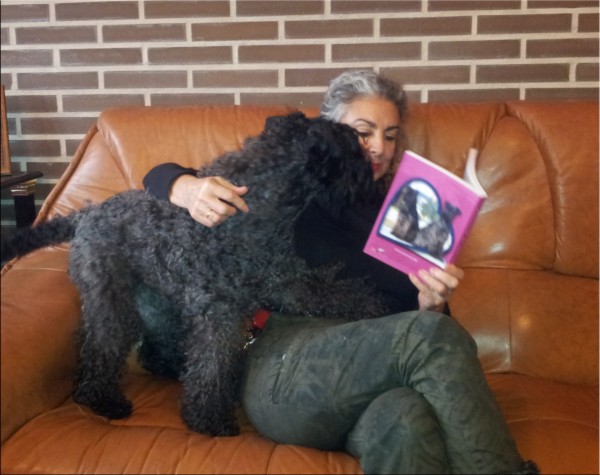 Kerry Blue Terrier. Ch. La Cadiera Estela Plateada. Estela con Maribel leyedo el libro.