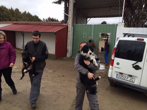 Nuestra recogida de Huellas. 