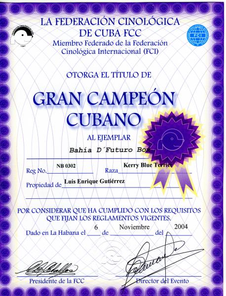 Kerry Blue Terrier.  Cuba Ch. Bahia De Futuro Box at La Cadiera.