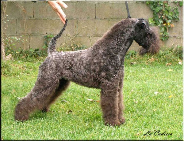 Historia de Super Menta. Con 1 añito de edad