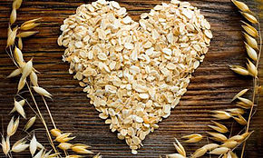 Beneficios de la avena para perros. 