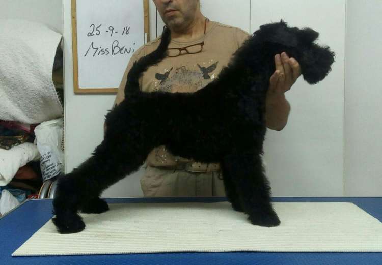 Camada 3M. La Cadiera Miss Beni. 3 meses.