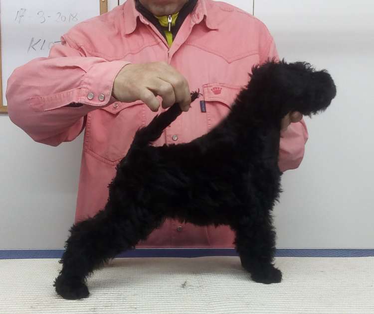 Camada 3K. La Cadiera Kloti. 2 meses.