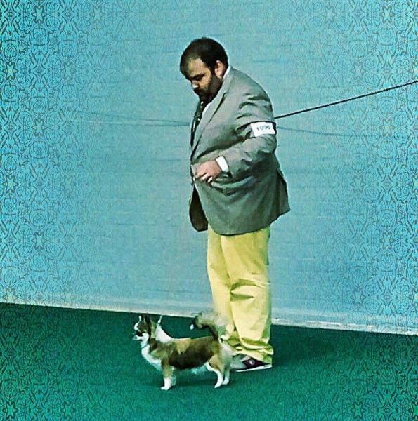 Chihuahueño. Chihuahueño.