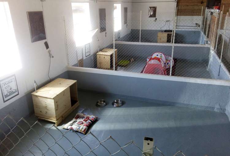 Panorámica del interior de los Parques Gold del Hotel Canino La Cadiera Panorámica del interior de los Parques Gold del Hotel Canino La Cadiera