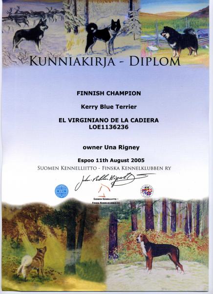 Kerry Blue Terrier.  Finland Ch. El Virginiano de La Cadiera.