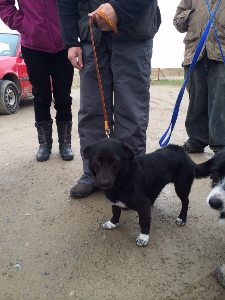 Nuestra recogida de Huellas. 