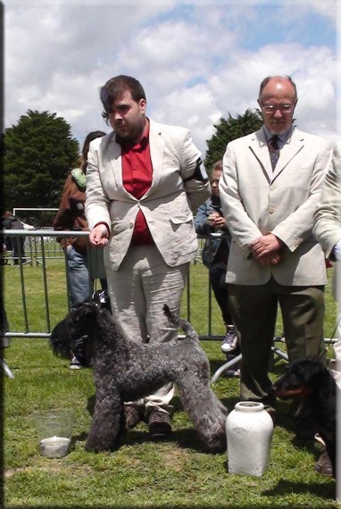 Menta Grupo Medina de Pomar