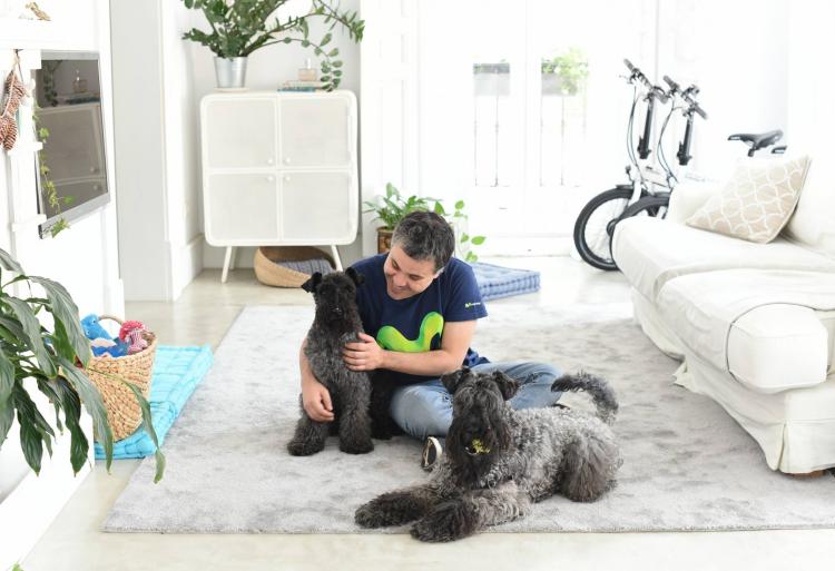 Kerry Blue Terrier. La Cadiera Fortunato y Clarita con Javi.