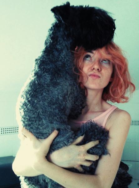 Kerry Blue Terrier. La Cadiera Gloria Bendita con Robyn.