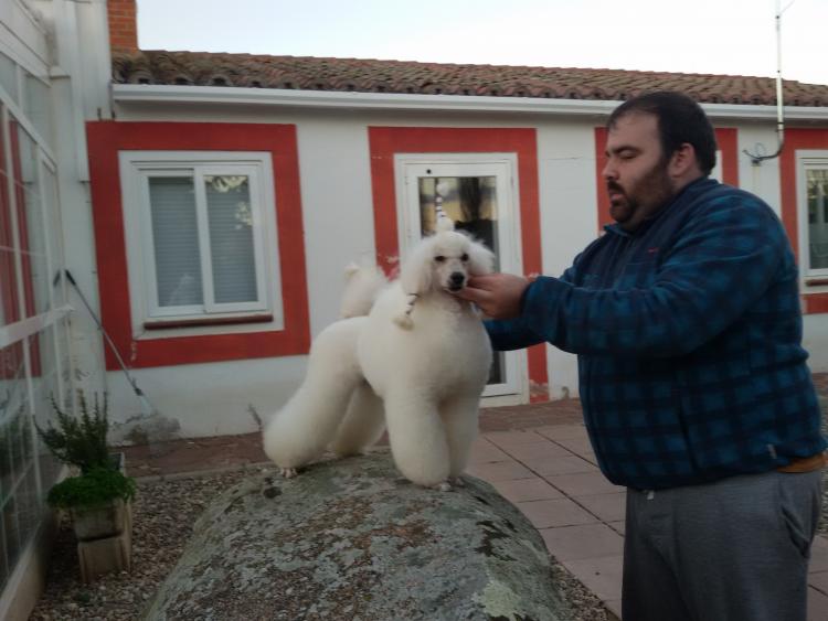 Caniche. Moja Variatsija Uvertura.