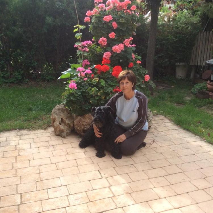 Kerry Blue Terrier. Marisol con Dina.