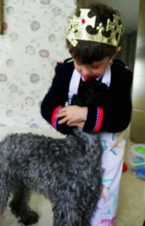 Ch. Bluemont Ena at La Cadiera. Kerry Blue Terrier. Mateo con Toreta