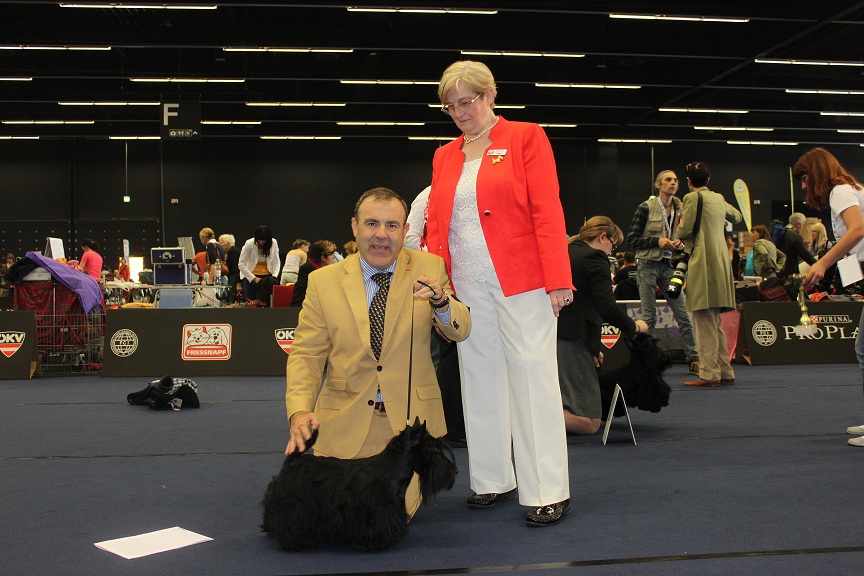 Scottish Terrier.  Ch. Dolly De Treysas.