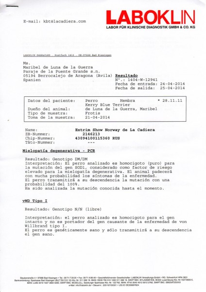 Kerry Blue Terrier. Informes Oficiales de vWD y D.M.. Informes Ekstrim Show Norway de La Cadiera vWD y DM