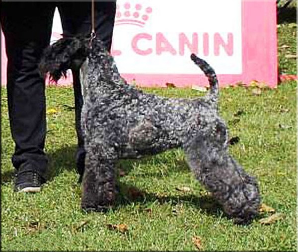 Multi Ch. Viña Urdina de La Cadiera en Sintra