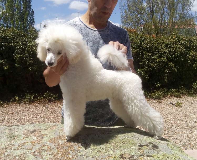 La Cadiera Jon Nieve. 6 meses.