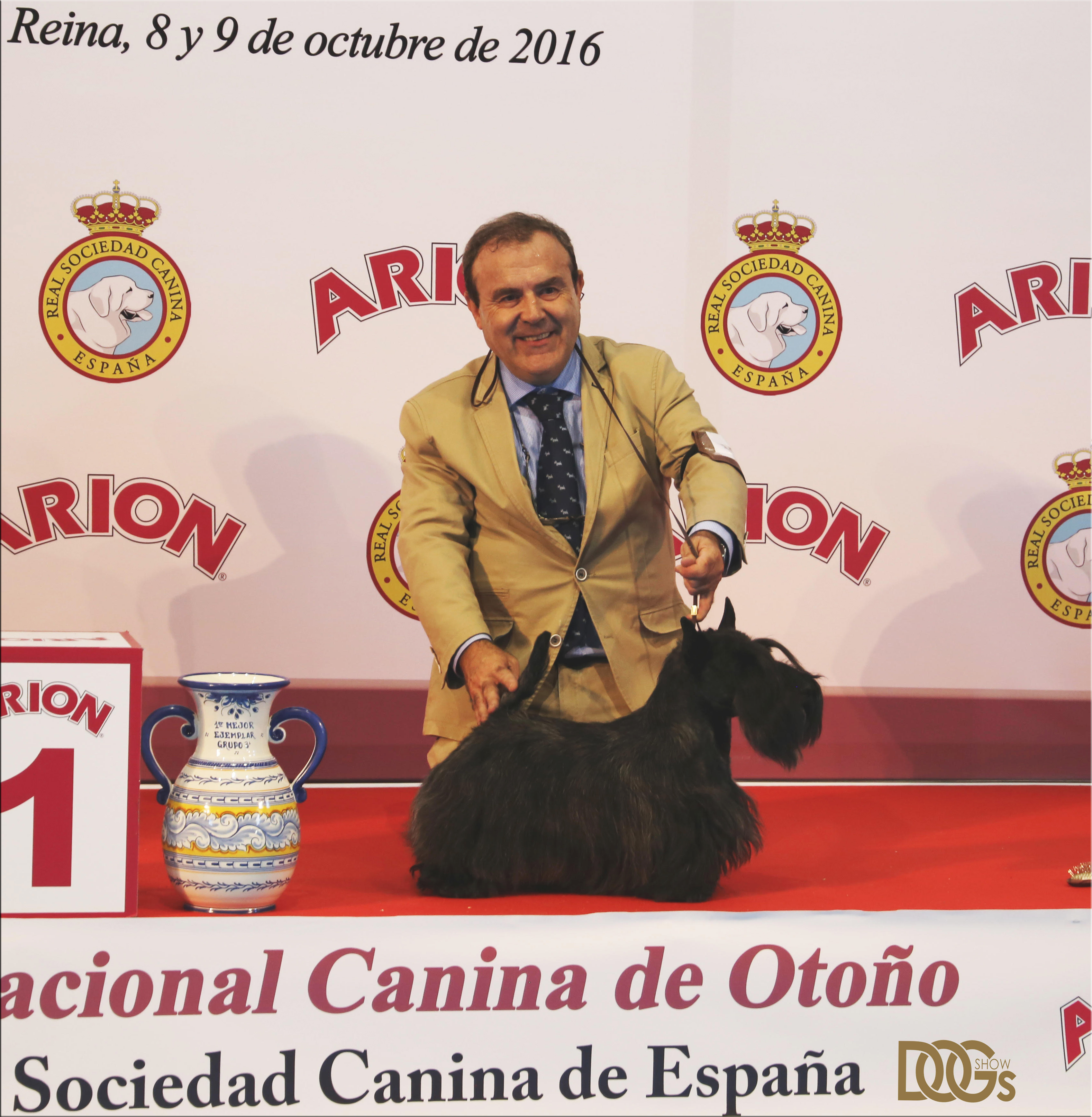 Exposición Internacional de Talavera de la Reina 2016. Scottish Terrier.  Ch. MR. FRANKLIN DE TREYSAS.
